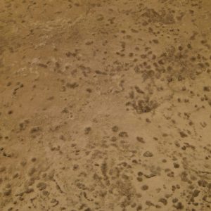 River Bottom Texture